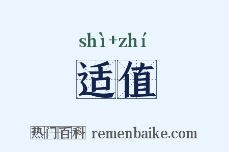 适值是什么意思的图片